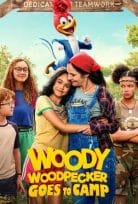 Ağaçkakan Woody Yaz Kampında