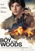 The Boy in the Woods