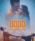 0000 Kilometre